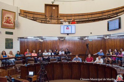 20170608 Aud Púb Saúde - 027.jpg