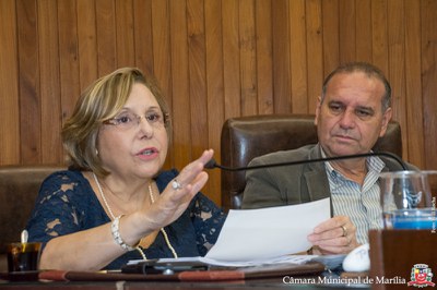 20170608 Aud Púb Saúde - 041.jpg