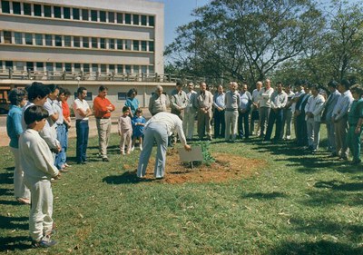 Árvore emhomenagem a faculdade de Medicina (2).jpg