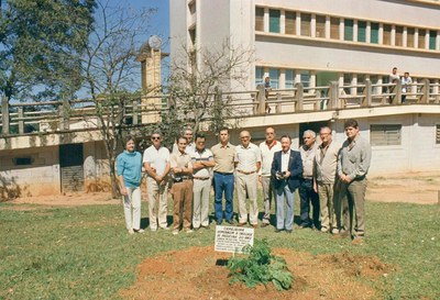 Árvore emhomenagem a faculdade de Medicina (3).jpg