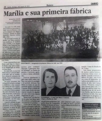 artigo Rosalina Tanuri