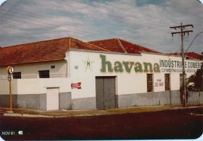 havana copinhos.jpg