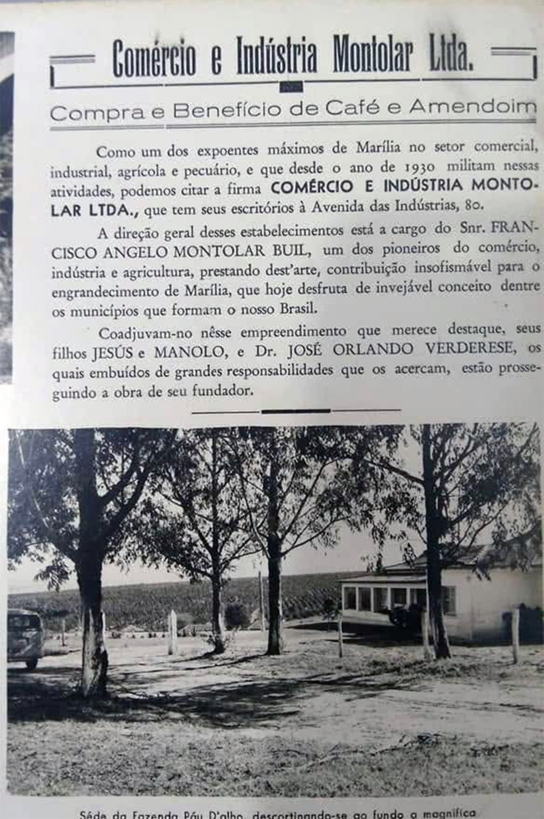 Indústria e comércio Montolar