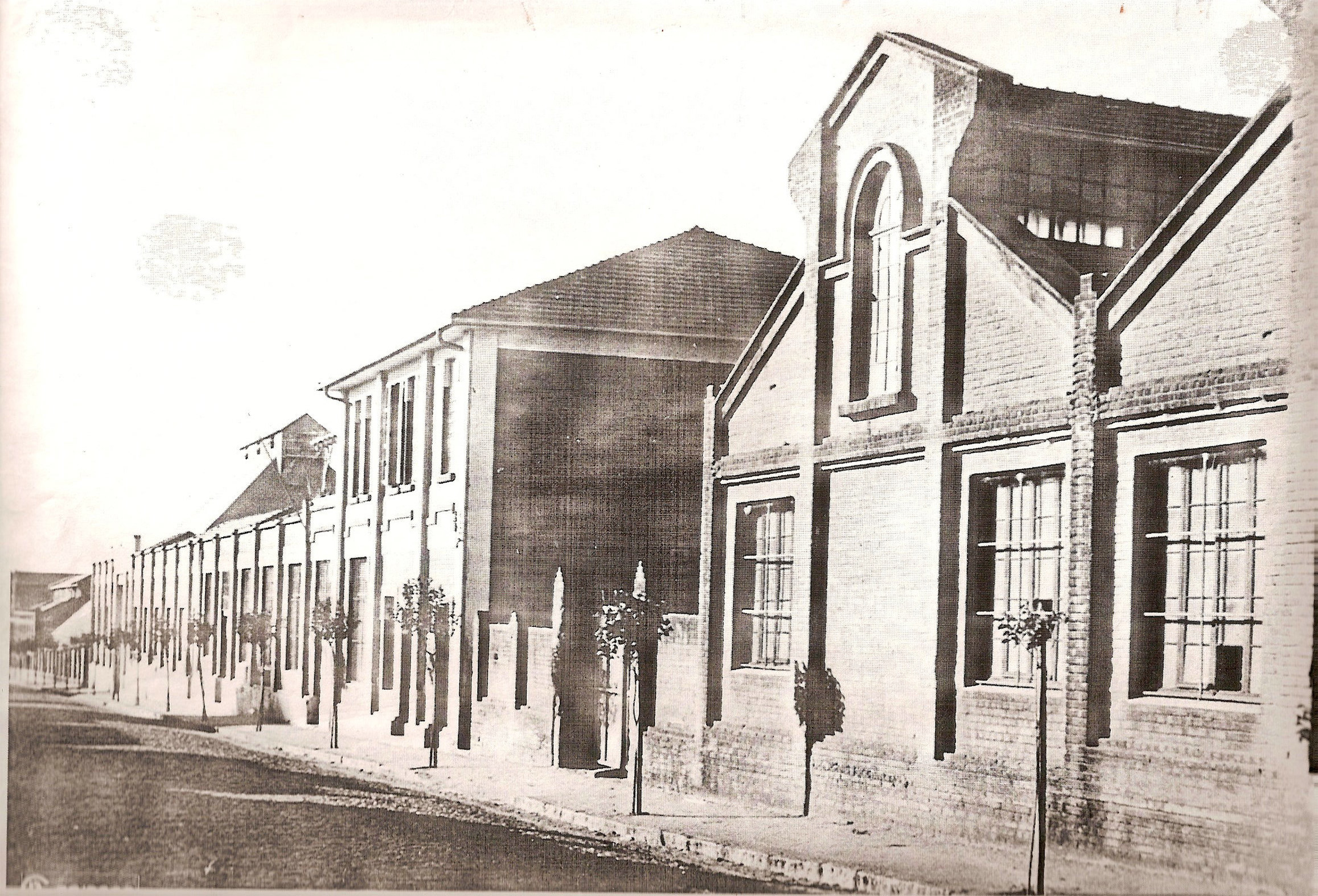 matarazzo 02.jpg