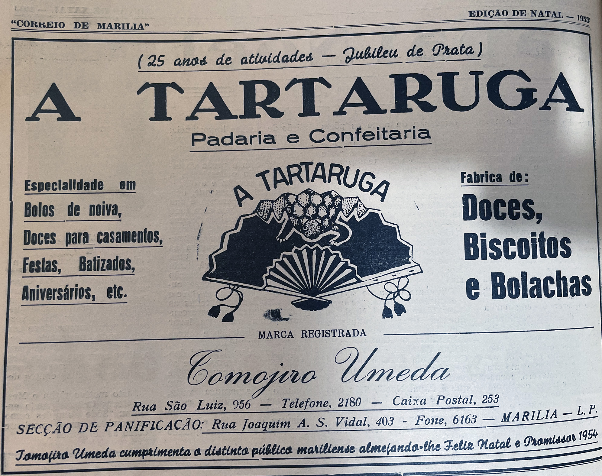 Tartaruga.jpg