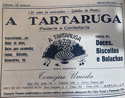 Tartaruga.jpg
