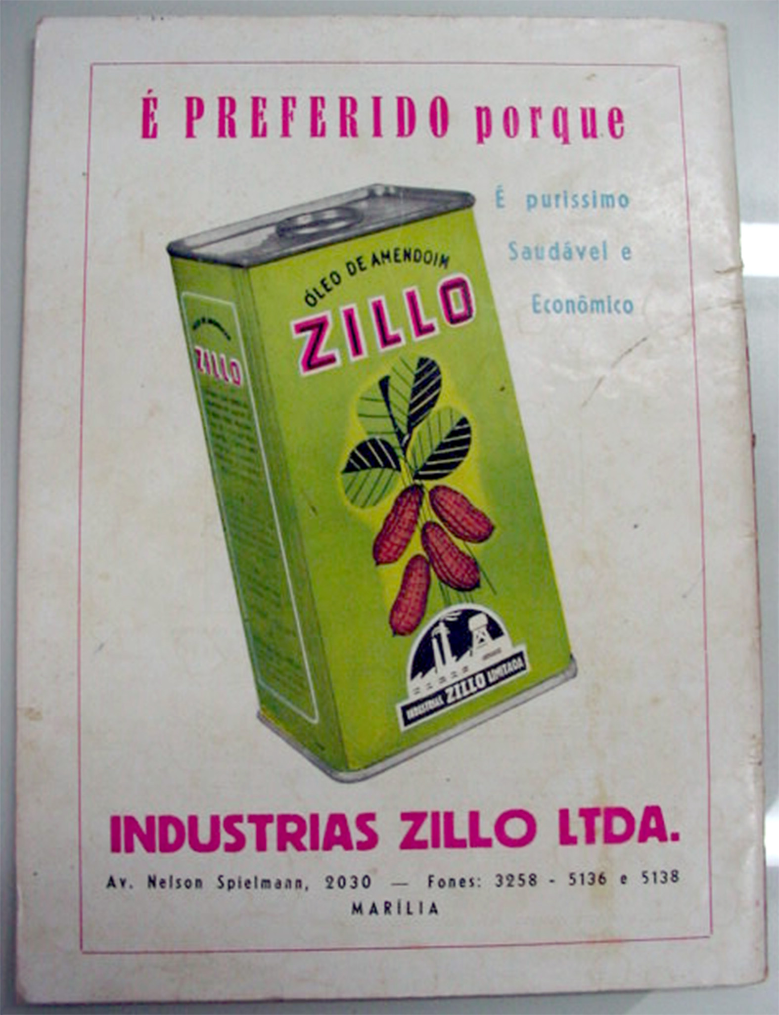 zillo amendoim.jpg