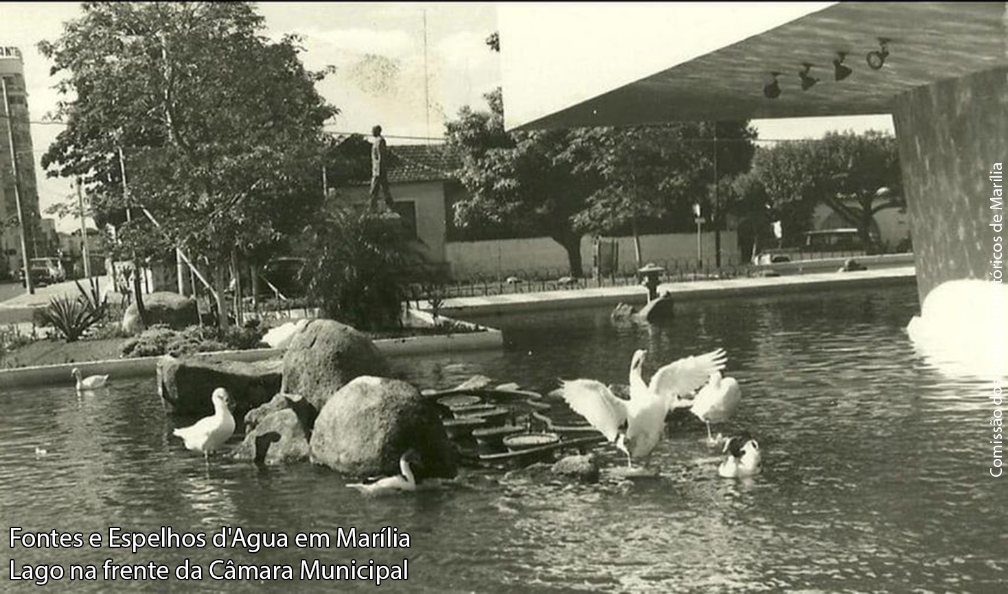 Câmara Municipal 3.jpg