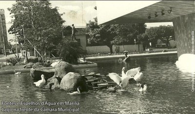 Câmara Municipal 3.jpg