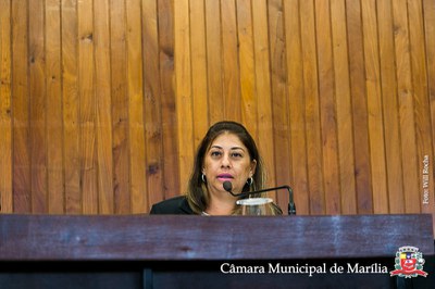 20181119 Ses Ord - 097.jpg
