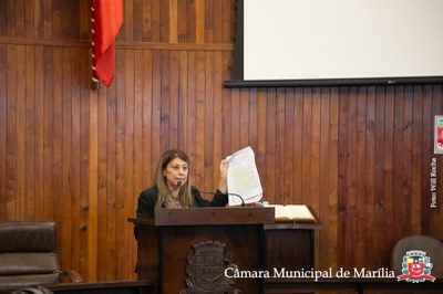 20190603 Ses Ord e Extra - 065.jpg