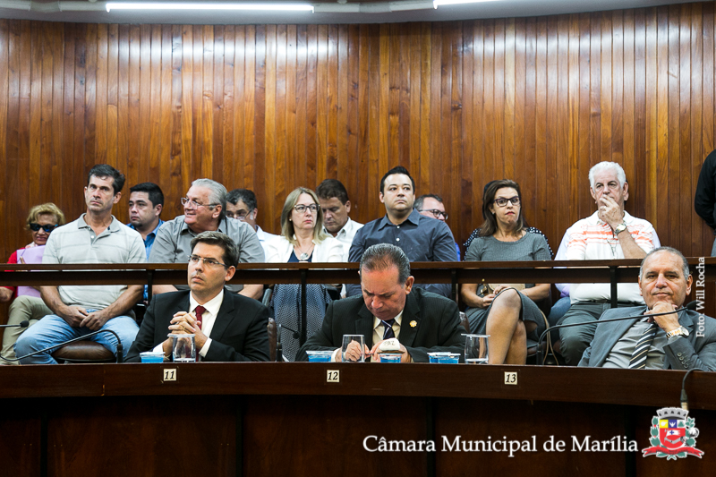 20190204 Ses Ord e Ext - 025.jpg