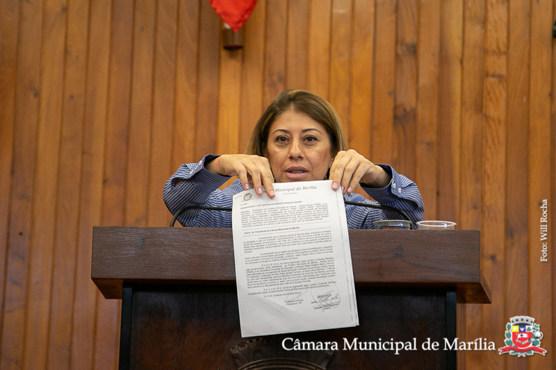 20190923 Ses Ord e Ext - 056.jpg