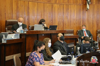 20201130 Ses Remota - 006.jpg