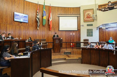 20210208 Ses Ord e Ext - 042.jpg