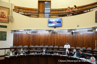 IMG_3718.jpg