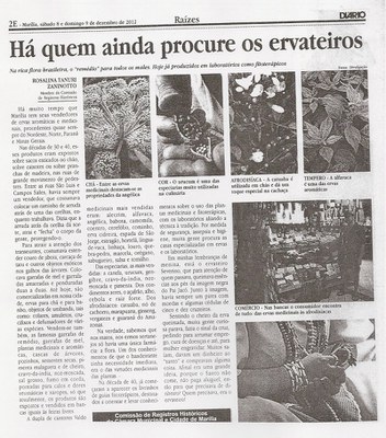 Raízes-9-de-Dezembro-de-2012-ha-quem-ainda-procure-os-ervateiros.jpg
