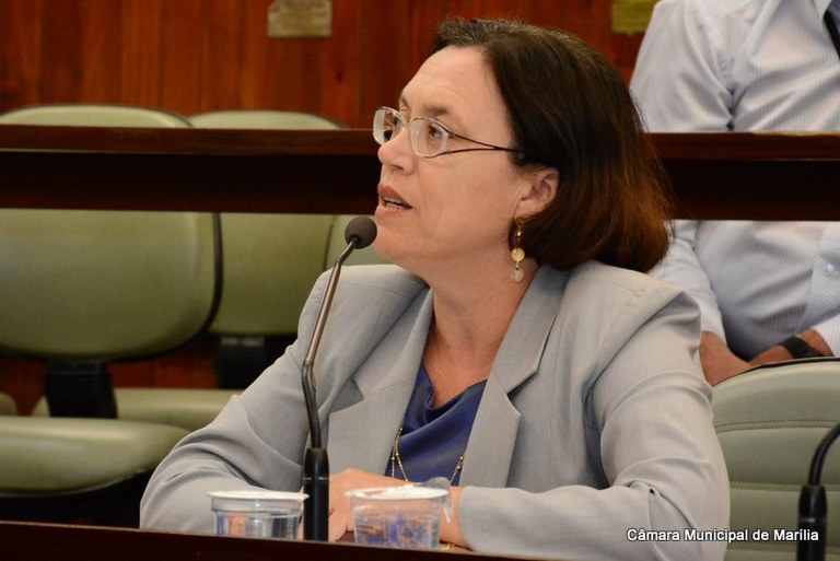 Sônia Tonin reivindica fiscalização a unidades de drive in instaladas em Marília
