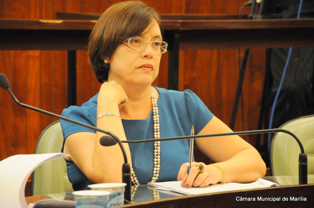 Sônia Tonin destaca regulamentação da lei de incentivo à cultura