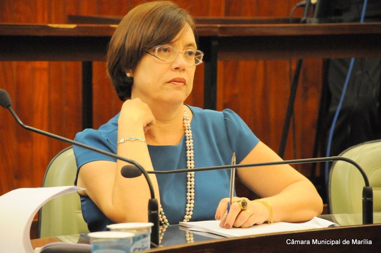 Sônia Tonin destaca regulamentação da lei de incentivo à cultura