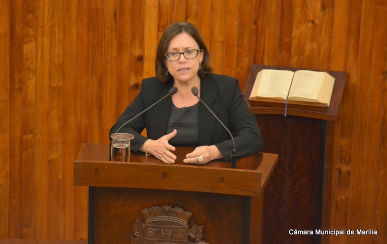 Vereadora Sônia Tonin reivindica apoio do município para o projeto Sonho de Criança