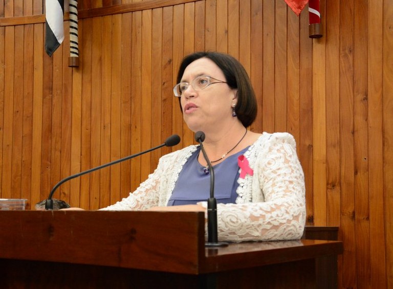 Sônia Tonin solicita à Prefeitura construção de Centro Comunitário
