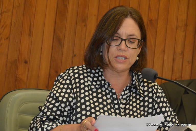 Sônia Tonin sugere que Programa de Tolerância Zero ao Lixo seja implantado em Marília