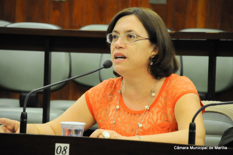 Sônia Tonin solicitou abertura da Avenida Feres Mattar em 2013