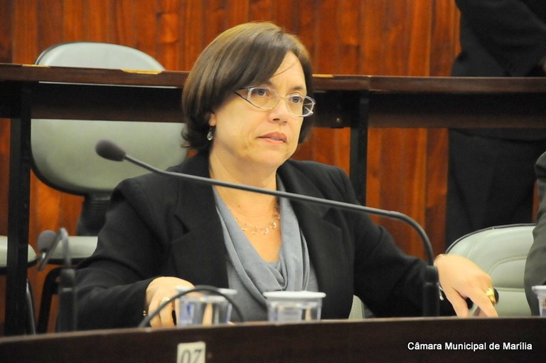 Sônia Tonin solicita iluminação na Avenida República até Padre Nóbrega