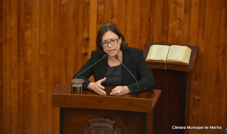 Vereadora Sônia Tonin analisa a redução da maioridade penal em artigo publicado na imprensa