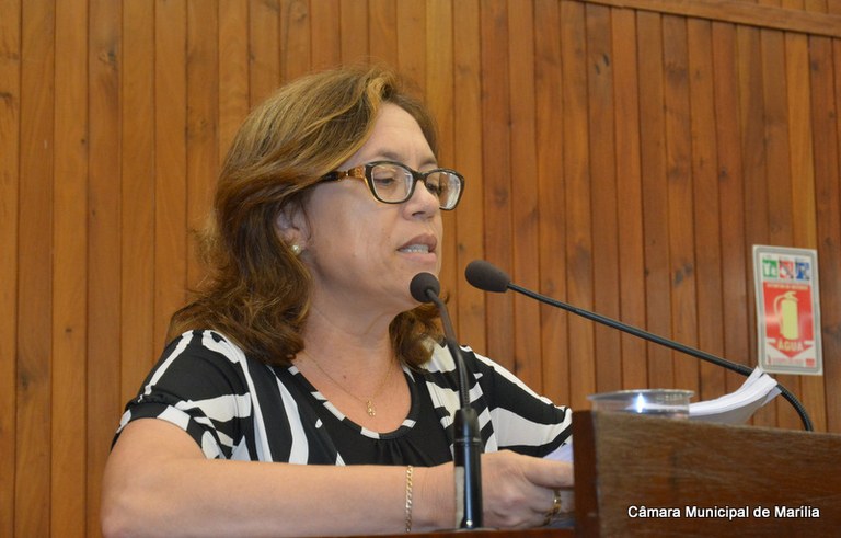 Após pedido da vereadora Sônia Tonin, Prefeitura  abre licitação para construir área de lazer