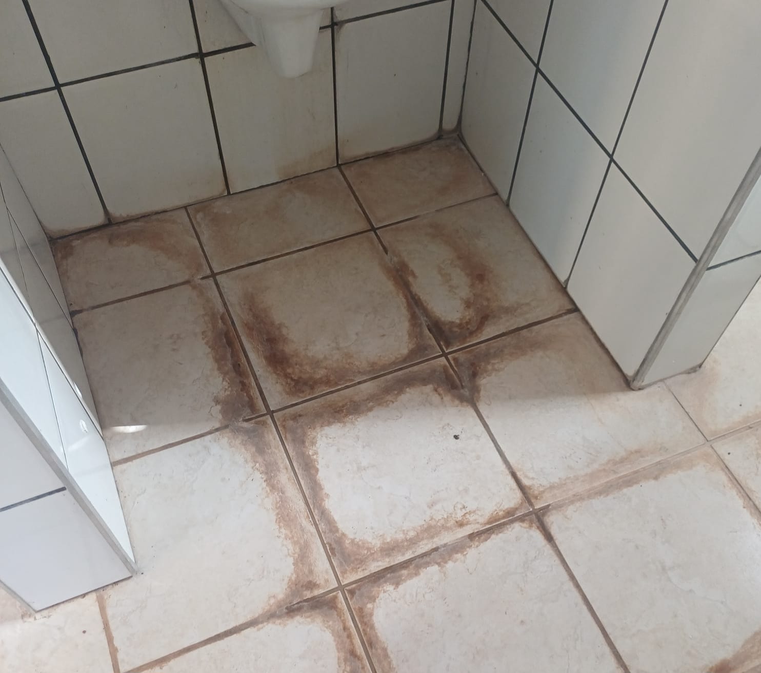 Situação do piso no Velório Municipal de Rosália; vereador solicita melhorias urgentes no local (Foto: Divulgação)