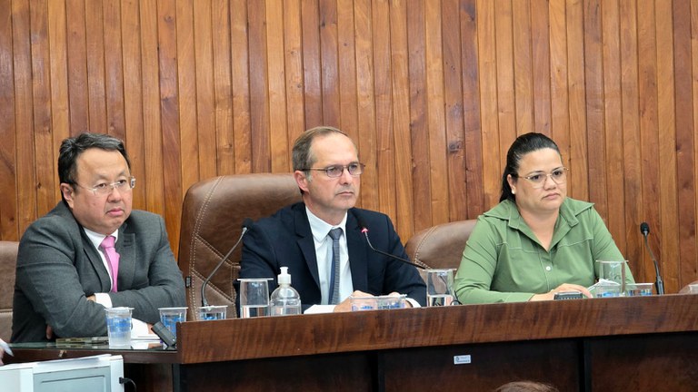 Câmara de Marília vota comunicação humanizada para Síndrome de Down e alert