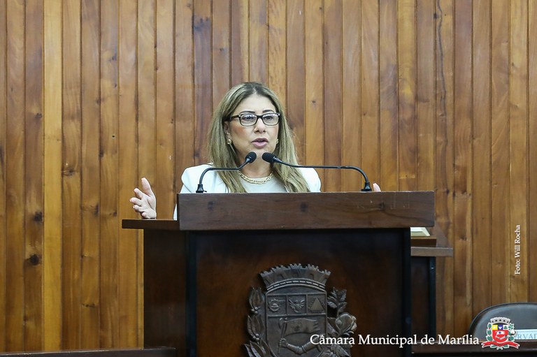 Câmara de Marília debate combate ao feminicídio e à violência contra a mulh