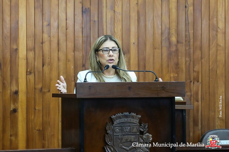 Câmara de Marília debate combate ao feminicídio e à violência contra a mulher em audiência