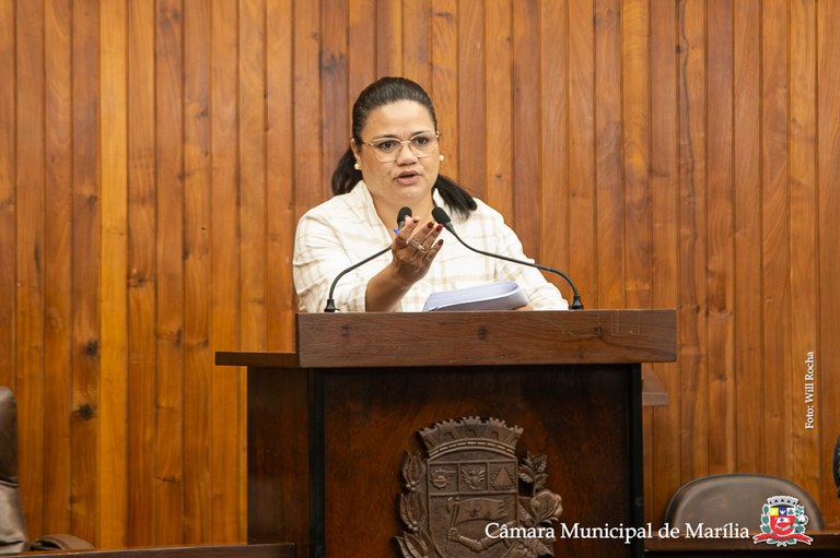 Câmara faz audiência pública para debater o enfrentamento ao bullying e ao cy