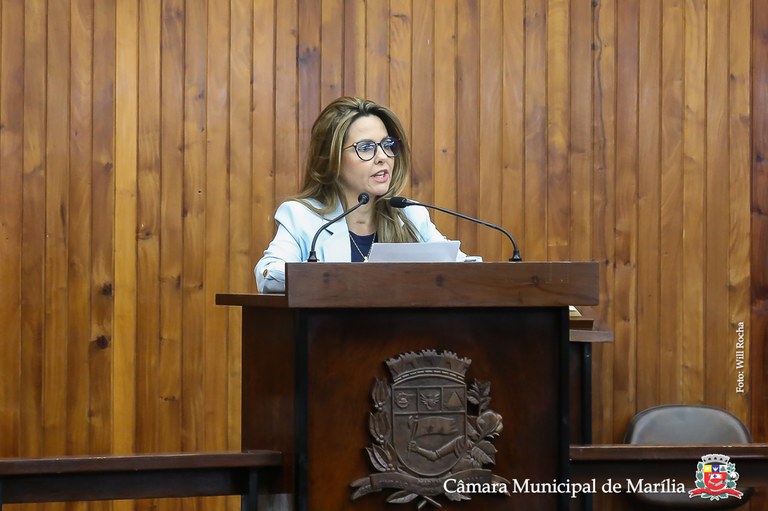 Fabiana Camarinha apoia piso salarial nacional para profissionais do quadro de a