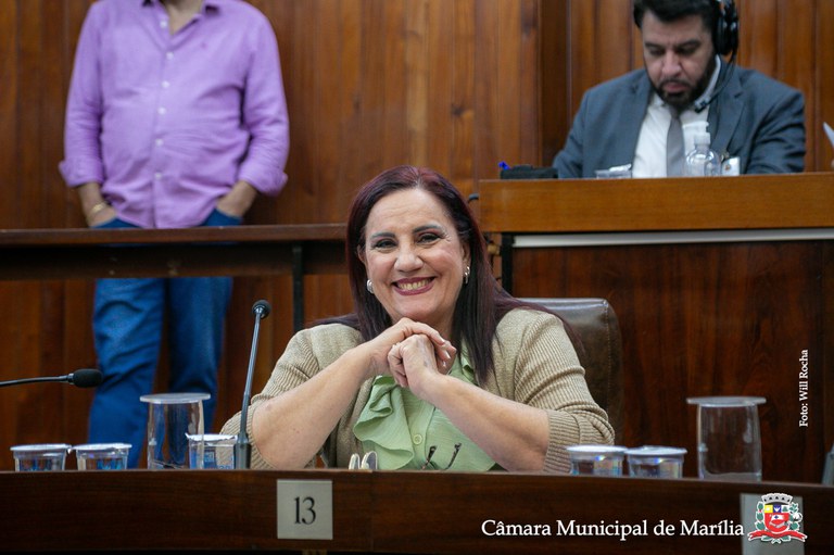 Mulheres são homenageadas em sessão solene que comemora o Dia Internacional do Empreendedorismo Feminino