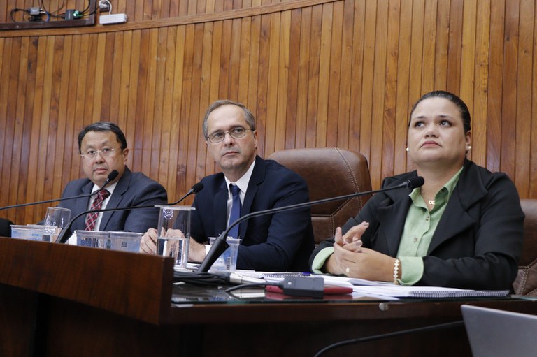 Na primeira sessão do ano, vereadores aprovam todos os projetos em pauta