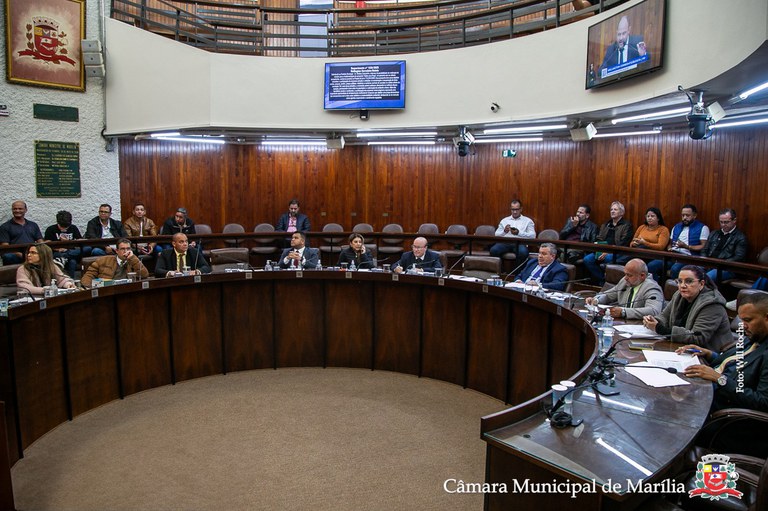 Vereadores aprovam todos os projetos em pauta e área é liberada à Amei