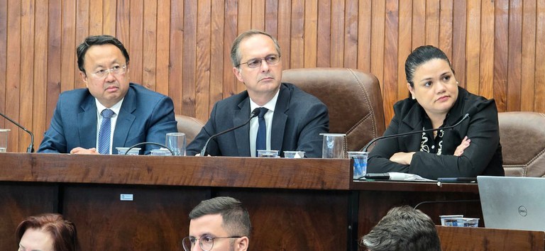 Vereadores votam autorização para desdobro de lotes com débitos em áreas reg