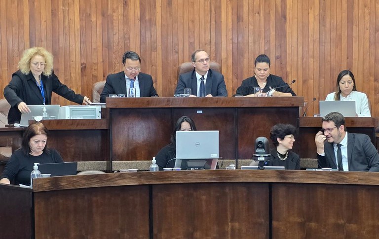 Vereadores votam criação de Programa de Equoterapia e projeto que melhora condições de trabalho dos conselheiros tutelares